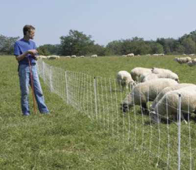 sheep goat and poulty electic fence netting